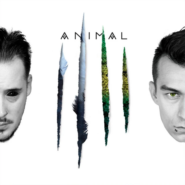 Animal