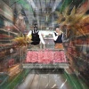 BODEGAS