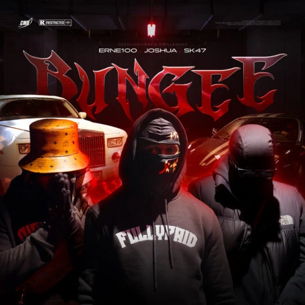 Bungee