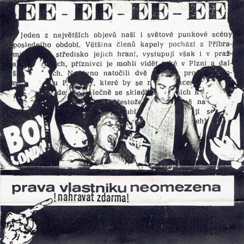 Pelikáni
