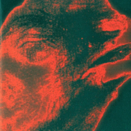 Deska (1996)