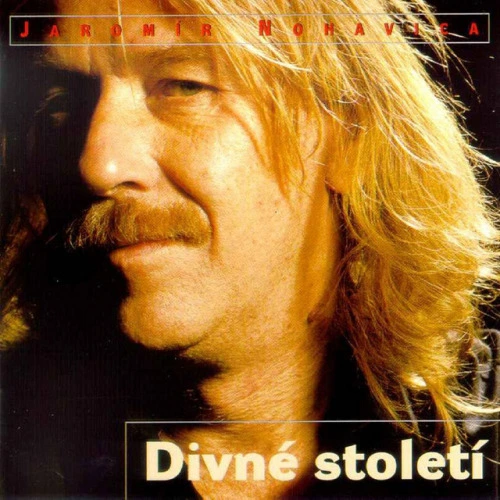 Divocí koně