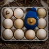 Easter Egg