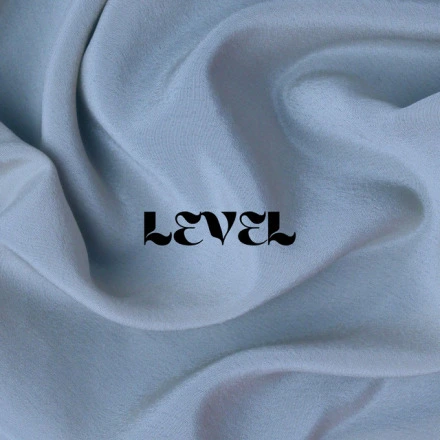 Level
