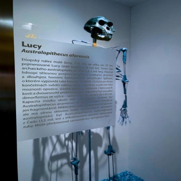 lucy (2026)