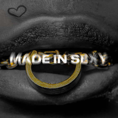MADE IN SEXY (2024)