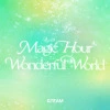 Wonderful World