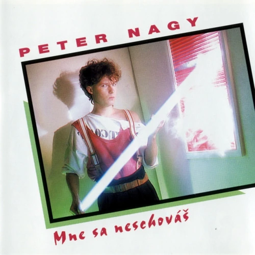 Mne sa neschováš (1985)