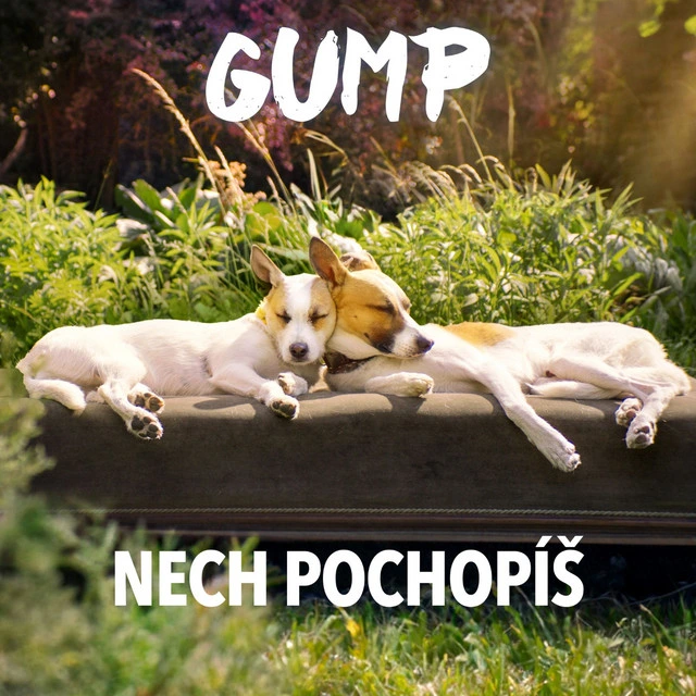 Nech pochopíš - From "Gump"