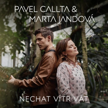 Nechat vítr vát (2019)