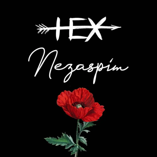 Nezaspím - Radio Edit