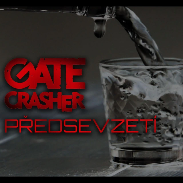 Předsevzetí