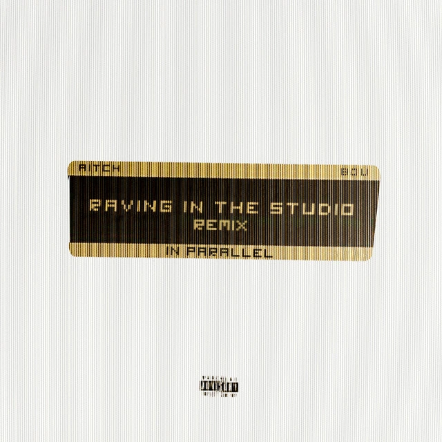 Raving In The Studio - IN PARALLEL Remix