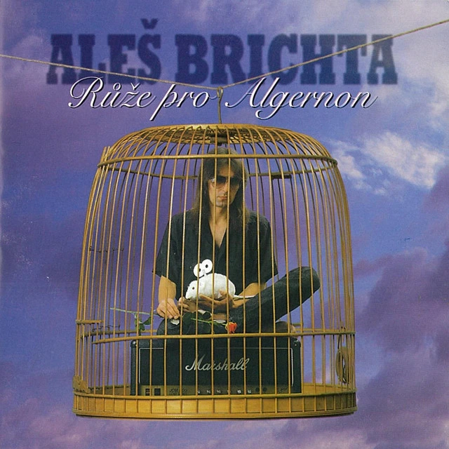 Růže Pro Algernon