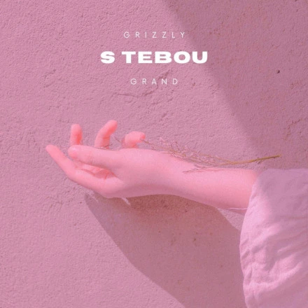 S Tebou