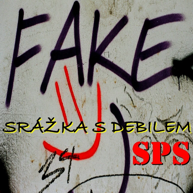 Srážka s debilem