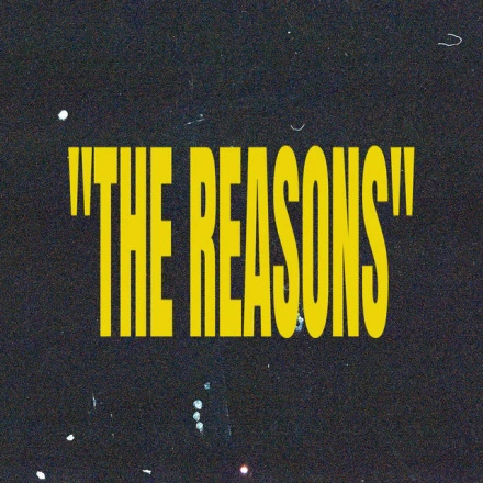The Reasons (Remix)