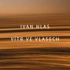 Vitr ve vlasech
