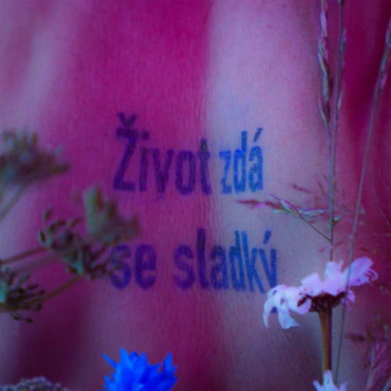 Život zdá se sladký (2024)
