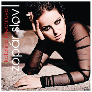 Zopar slov (2011)