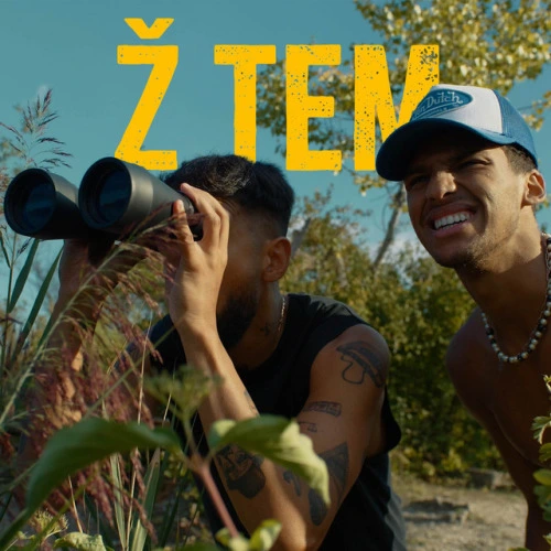 Ž TEM