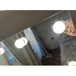penis
